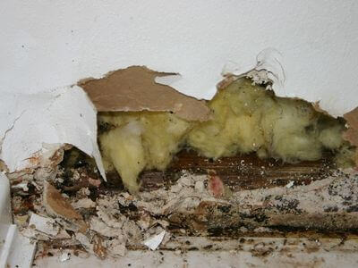 About NyxApex - water damage restoration experts in South Gate